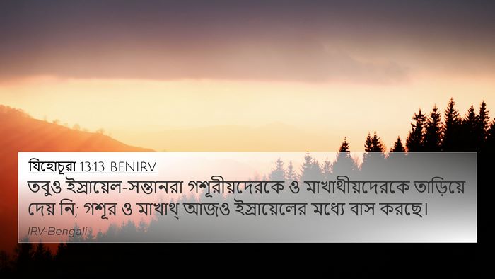 যিহোচূৱা 13:13 BENIRV Bible Verse Image