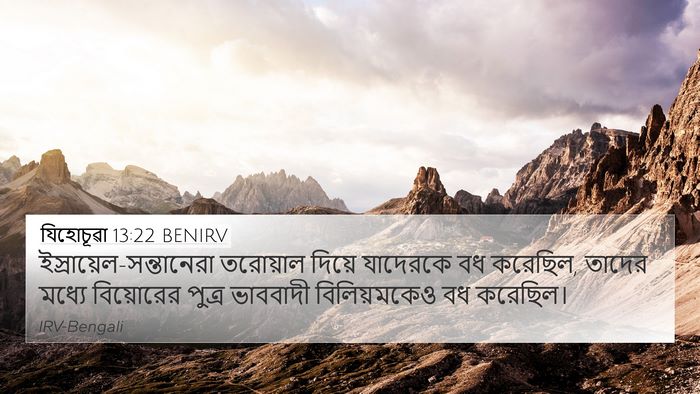 যিহোচূৱা 13:22 BENIRV Bible Verse Image