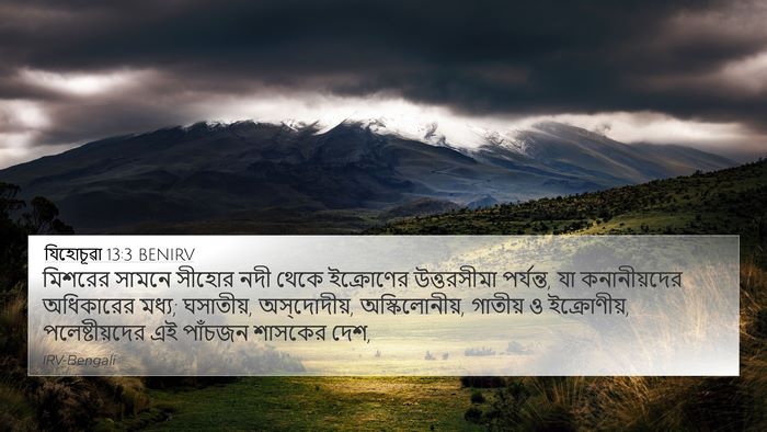 যিহোচূৱা 13:3 BENIRV Bible Verse Image