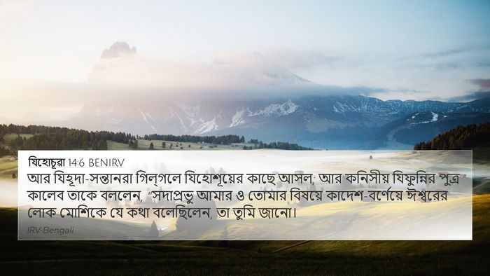 যিহোচূৱা 14:6 BENIRV Bible Verse Image