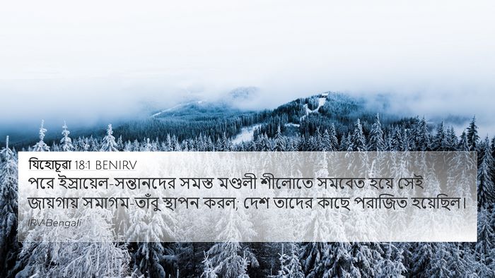যিহোচূৱা 18:1 BENIRV Bible Verse Image