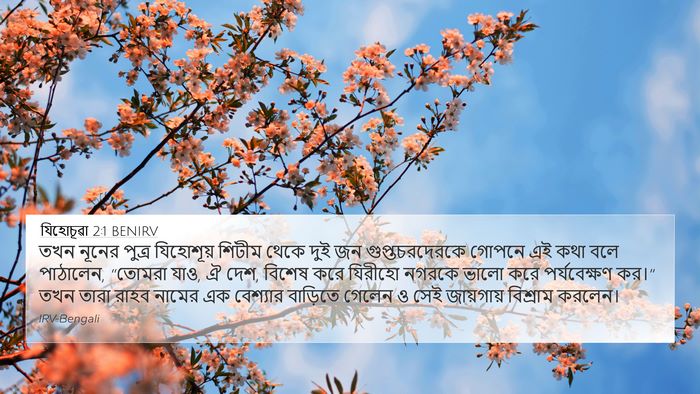 যিহোচূৱা 2:1 BENIRV Bible Verse Image