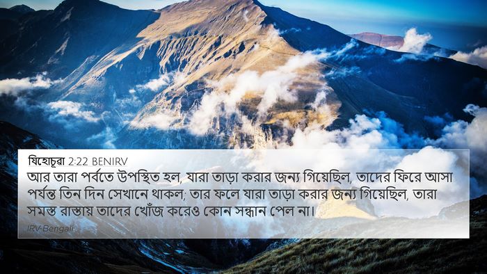 যিহোচূৱা 2:22 BENIRV Bible Verse Image