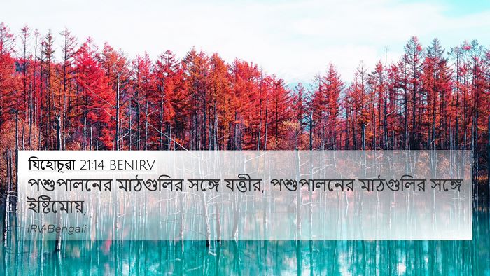 যিহোচূৱা 21:14 BENIRV Bible Verse Image