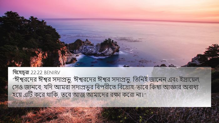 যিহোচূৱা 22:22 BENIRV Bible Verse Image