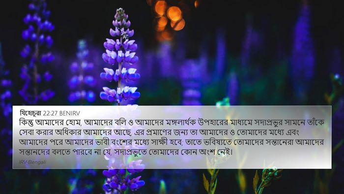 যিহোচূৱা 22:27 BENIRV Bible Verse Image