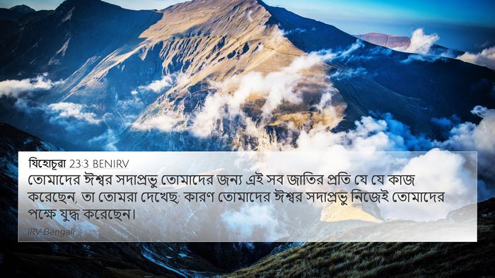 যিহোচূৱা 23:3 BENIRV Bible Verse Image