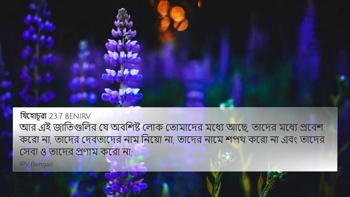 যিহোচূৱা 23:7 BENIRV Bible Verse Image