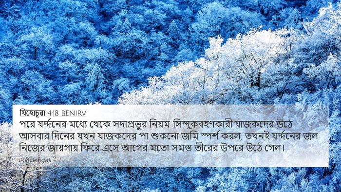 যিহোচূৱা 4:18 BENIRV Bible Verse Image