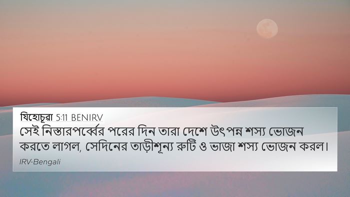 যিহোচূৱা 5:11 BENIRV 4K Wallpaper - সেই - 4K Wallpaper Bible Verse
