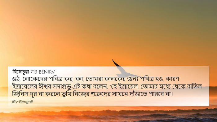 যিহোচূৱা 7:13 BENIRV Bible Verse Image
