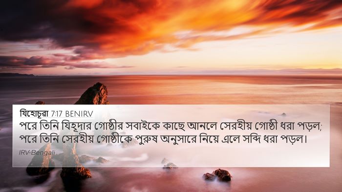 যিহোচূৱা 7:17 BENIRV 4K Wallpaper - পরে তিনি যিহূদার - 4K Wallpaper Bible Verse