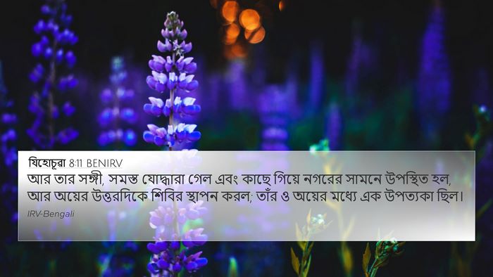যিহোচূৱা 8:11 BENIRV 4K Wallpaper - আর তার সঙ্গী, সমস্ত - 4K Wallpaper Bible Verse