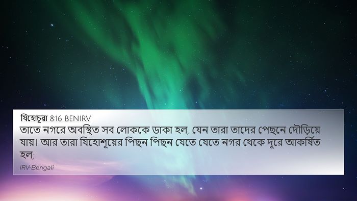 যিহোচূৱা 8:16 BENIRV Bible Verse Image