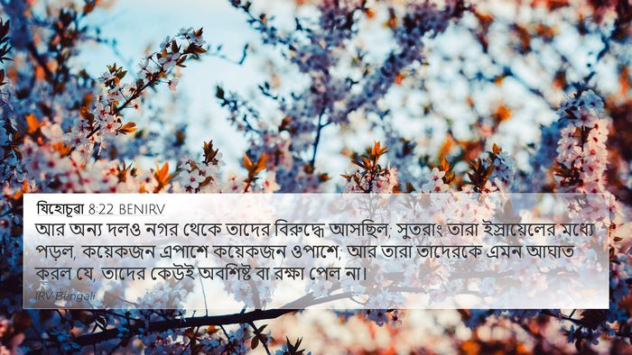 যিহোচূৱা 8:22 BENIRV 4K Wallpaper - আর অন্য দলও নগর - 4K Wallpaper Bible Verse
