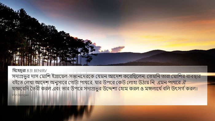 যিহোচূৱা 8:31 BENIRV Bible Verse Image