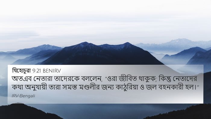 যিহোচূৱা 9:21 BENIRV Bible Verse Image