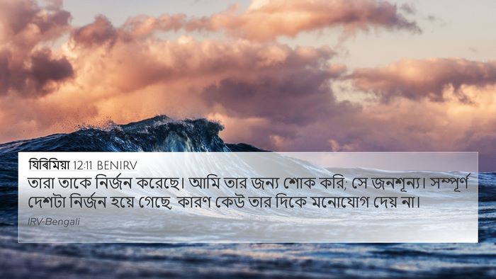 যিৰিমিয়া 12:11 BENIRV Bible Verse Image