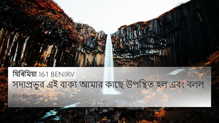 যিৰিমিয়া 16:1 BENIRV Bible Verse Image