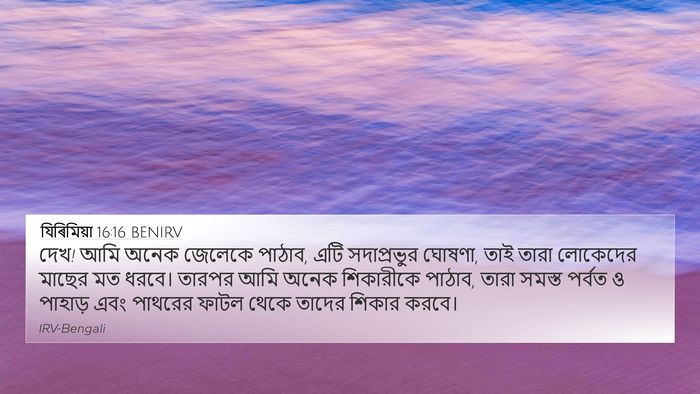 যিৰিমিয়া 16:16 BENIRV Bible Verse Image