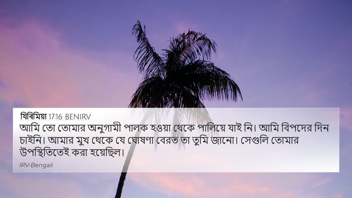 যিৰিমিয়া 17:16 BENIRV Bible Verse Image