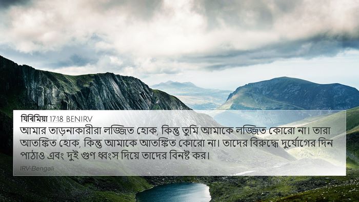 যিৰিমিয়া 17:18 BENIRV Bible Verse Image