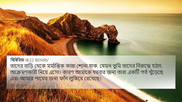 যিৰিমিয়া 18:22 BENIRV Bible Verse Image