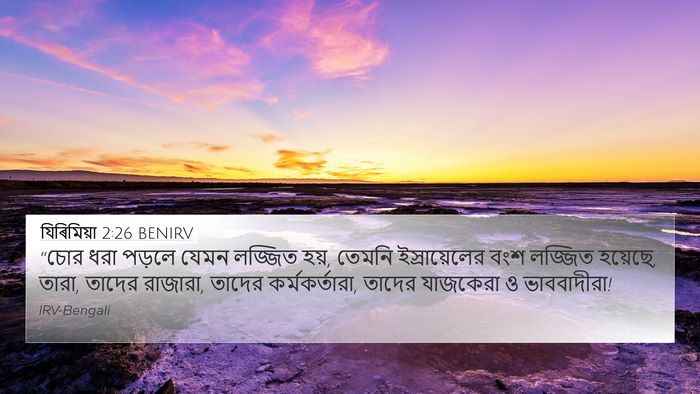 যিৰিমিয়া 2:26 BENIRV Bible Verse Image