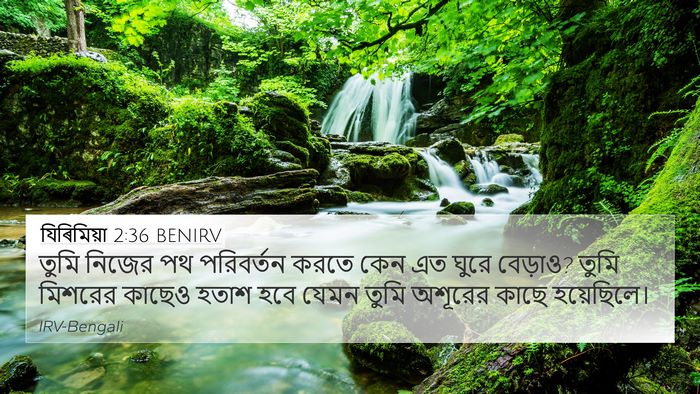 যিৰিমিয়া 2:36 BENIRV Bible Verse Image