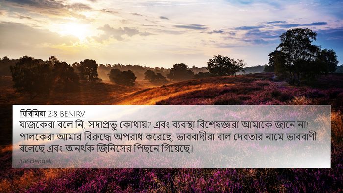 যিৰিমিয়া 2:8 BENIRV Bible Verse Image