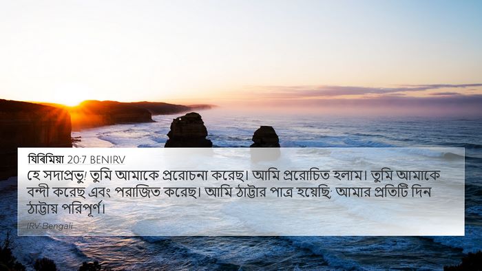 যিৰিমিয়া 20:7 BENIRV Bible Verse Image