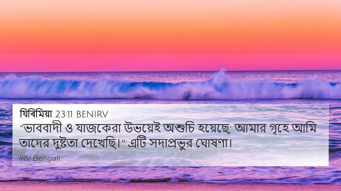 যিৰিমিয়া 23:11 BENIRV Bible Verse Image