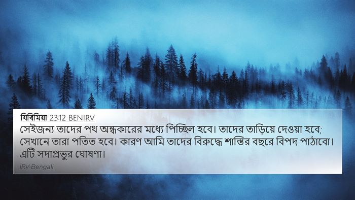 যিৰিমিয়া 23:12 BENIRV Bible Verse Image
