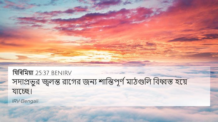 যিৰিমিয়া 25:37 BENIRV Bible Verse Image