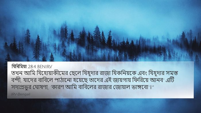 যিৰিমিয়া 28:4 BENIRV Bible Verse Image