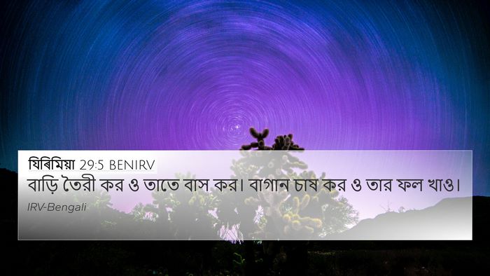যিৰিমিয়া 29:5 BENIRV 4K Wallpaper - বাড়ি তৈরী কর ও - 4K Wallpaper Bible Verse