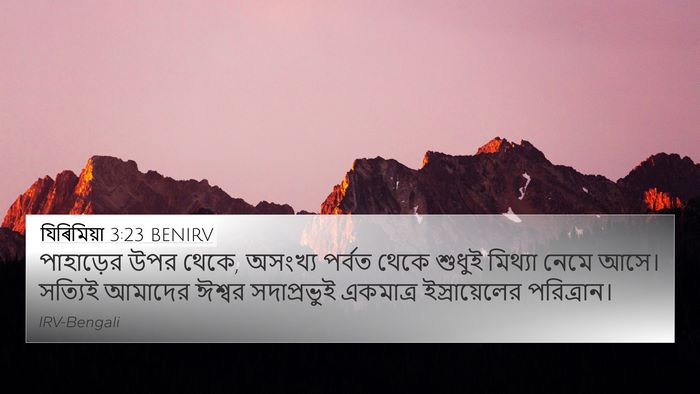 যিৰিমিয়া 3:23 BENIRV Bible Verse Image