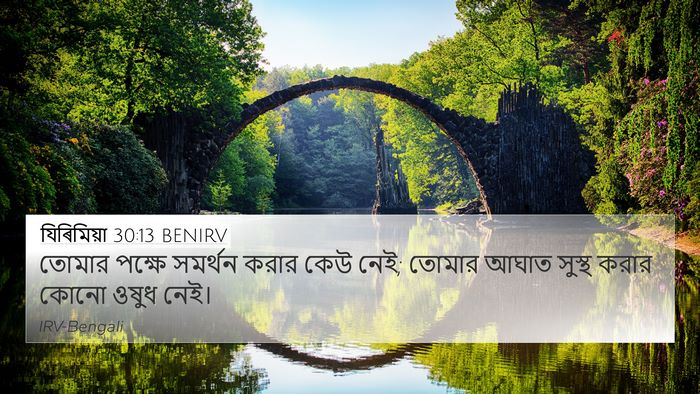 যিৰিমিয়া 30:13 BENIRV Bible Verse Image