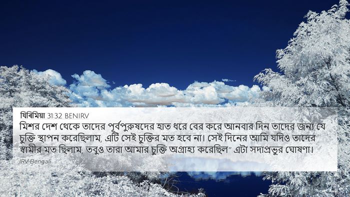 যিৰিমিয়া 31:32 BENIRV Bible Verse Image