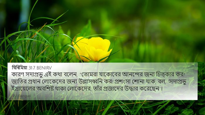 যিৰিমিয়া 31:7 BENIRV Bible Verse Image