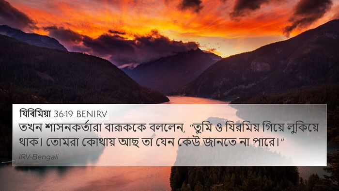 যিৰিমিয়া 36:19 BENIRV Bible Verse Image