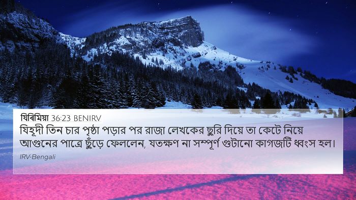 যিৰিমিয়া 36:23 BENIRV Bible Verse Image