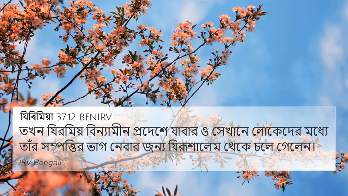 যিৰিমিয়া 37:12 BENIRV Bible Verse Image