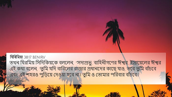 যিৰিমিয়া 38:17 BENIRV Bible Verse Image