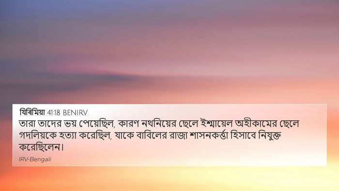 যিৰিমিয়া 41:18 BENIRV Bible Verse Image