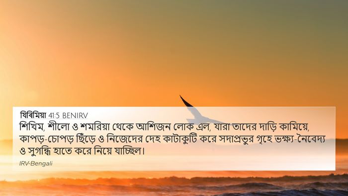 যিৰিমিয়া 41:5 BENIRV Bible Verse Image
