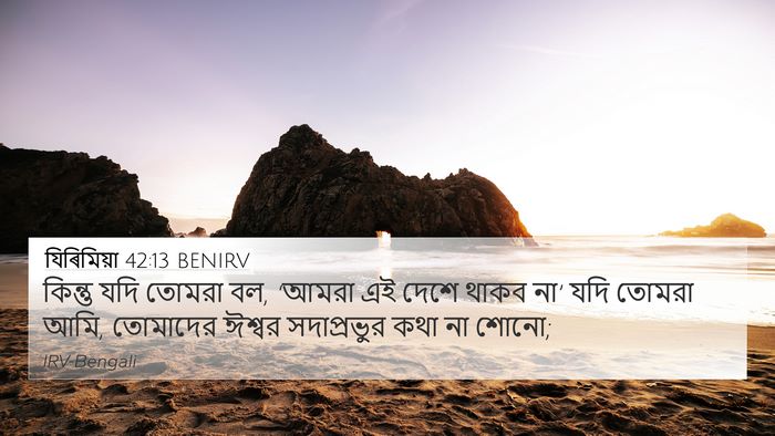 যিৰিমিয়া 42:13 BENIRV Bible Verse Image
