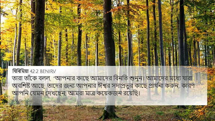 যিৰিমিয়া 42:2 BENIRV Bible Verse Image