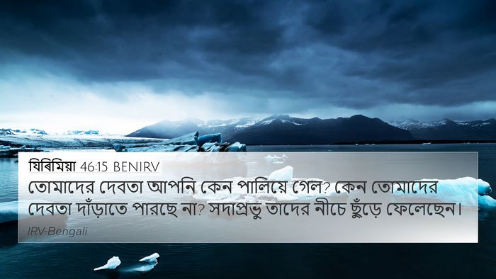 যিৰিমিয়া 46:15 BENIRV Bible Verse Image