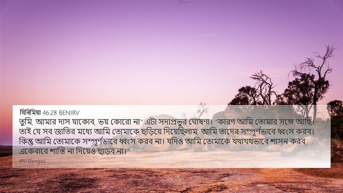 যিৰিমিয়া 46:28 BENIRV Bible Verse Image